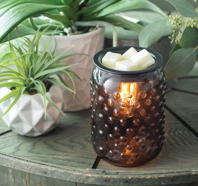 Smokey Hobnail Vintage Bulb  Fragrance Warmer