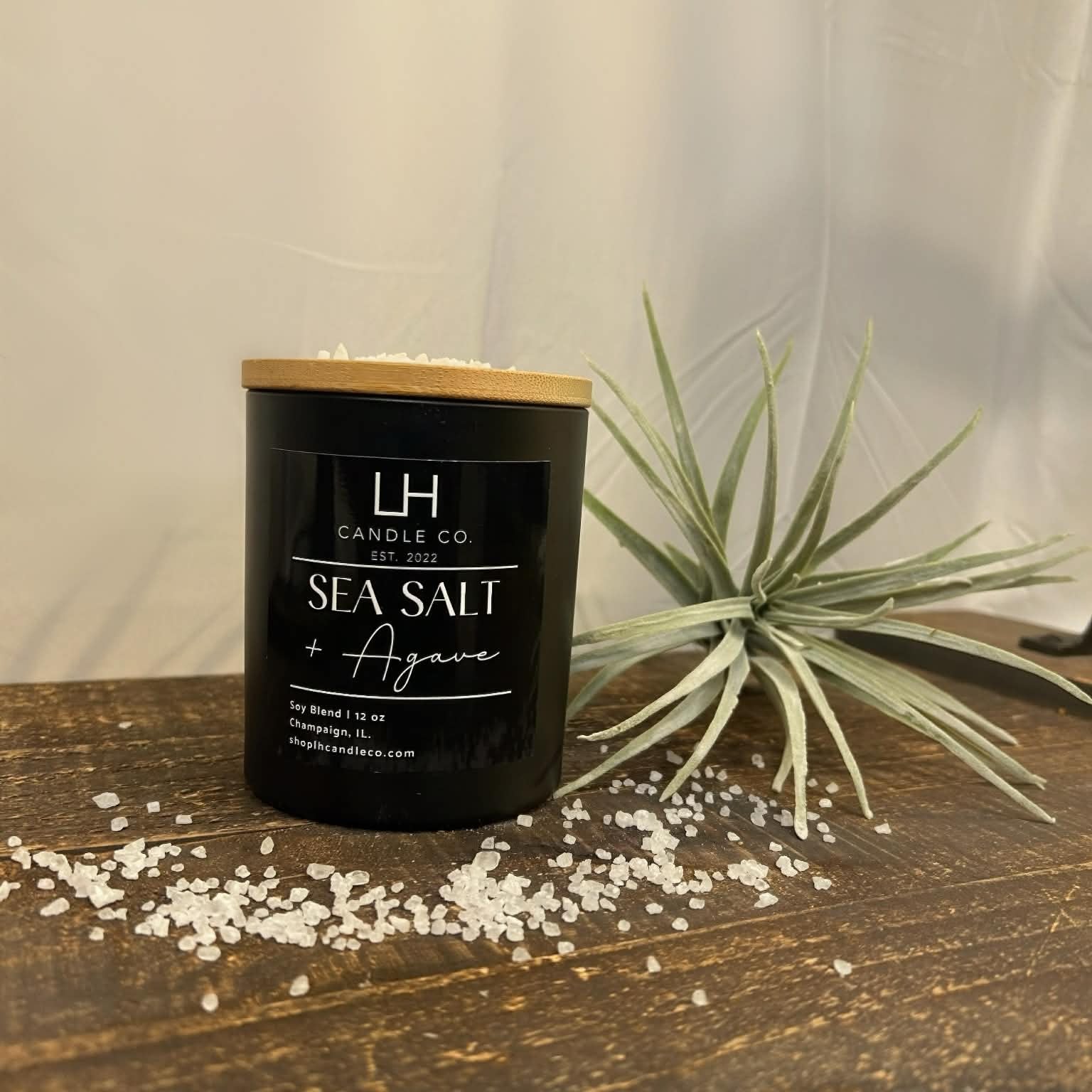 Black candle labeled 'LH Candle Co.' with sea salt and agave on a wooden surface with a plant in the background.